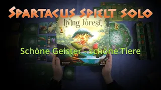 Let's Play: Living Forest, 2 Spieler