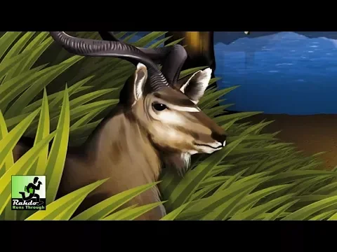 Rahdo Runs Through►►► Habitats