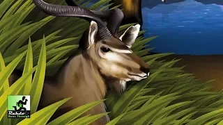 Rahdo Runs Through►►► Habitats
