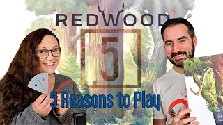 Redwood - 5 Reasons to Play . We Review this UKGE Award winning Game