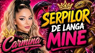 CARMINA -Serpilor de langa mine[ Video]2026 new hyt