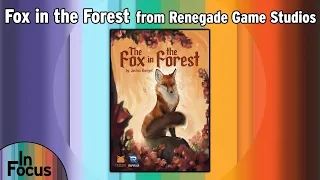 Fox in the Forest - In Focus