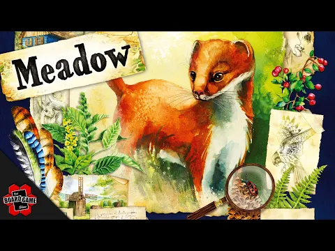 How to Play Meadow | Solo