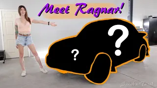 I've Been Hiding This For Months! // My New Project!
