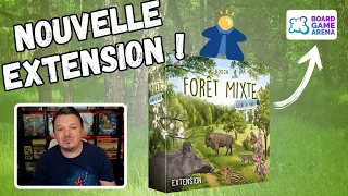 Nouvelle extension de forêt mixte : Lisiére de la foret