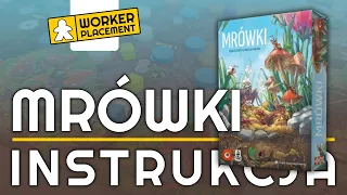 Mrówki | Zasady Gry | Instrukcja