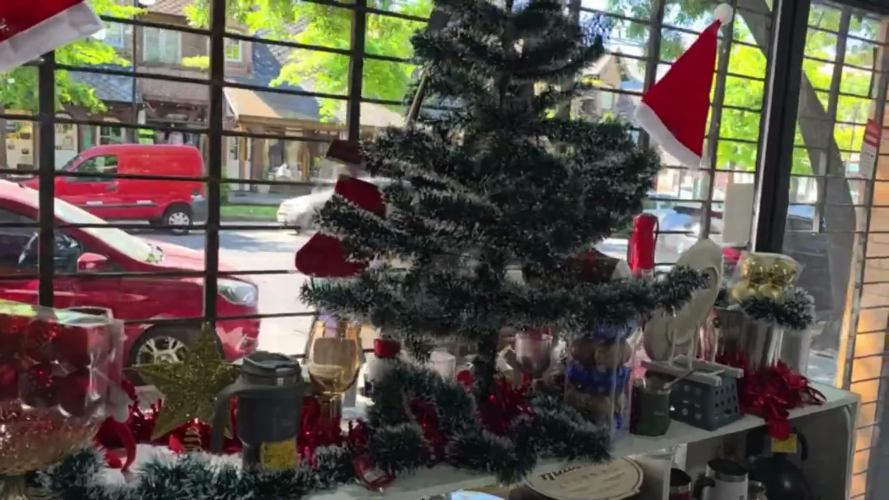 Video de Malvina Bazar