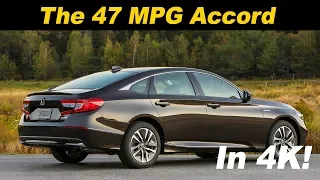 2018-2020 Honda Accord Hybrid | The Family Fuel Sipper