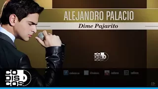 Dime Pajarito, Alejandro Palacio - Audio
