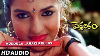 Peddarikam - Muddula Janaki Pelliki charitam song | Jagapathi Babu | Sukanya Telugu Old Songs