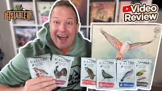Wingspan Promo Packs - 6 Continents Review