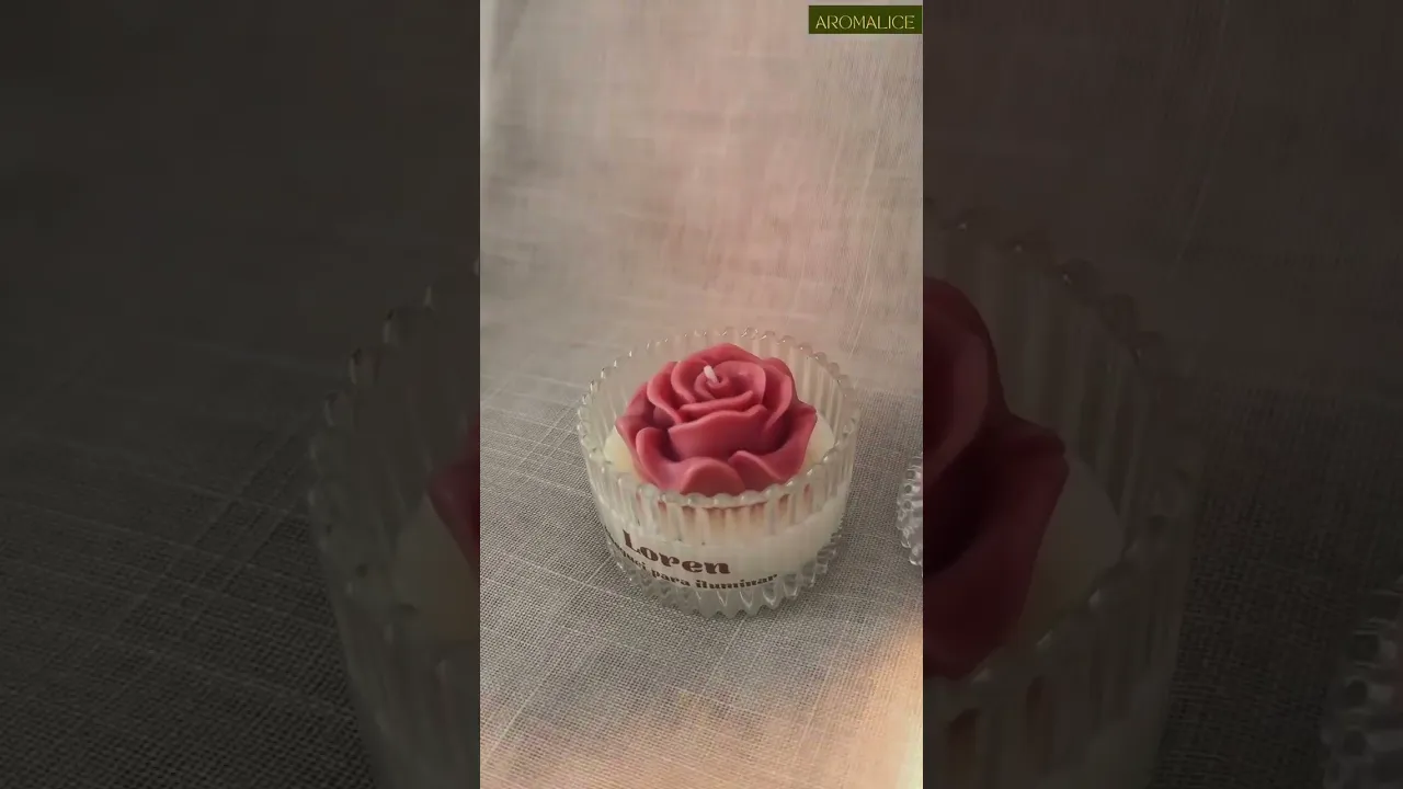 Vídeo