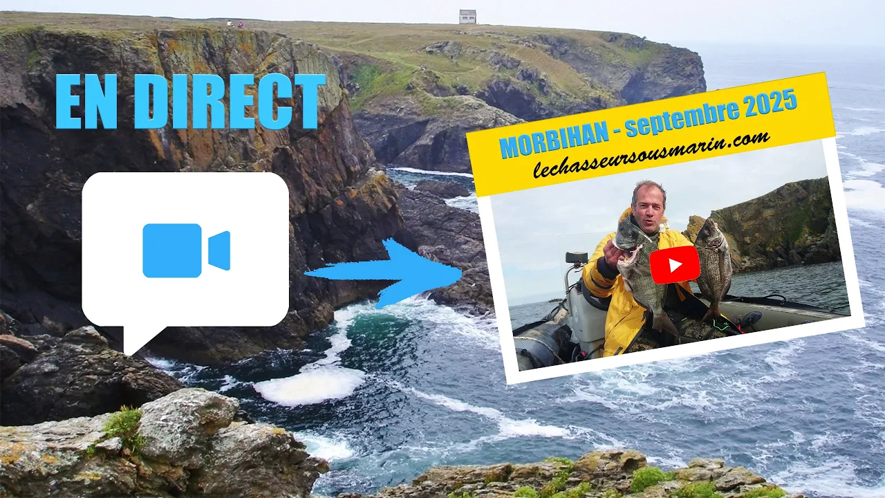 Vignette de la vidéo