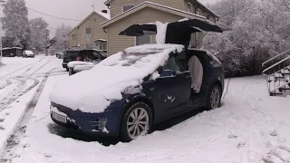 Model X opening falcon doors with snow