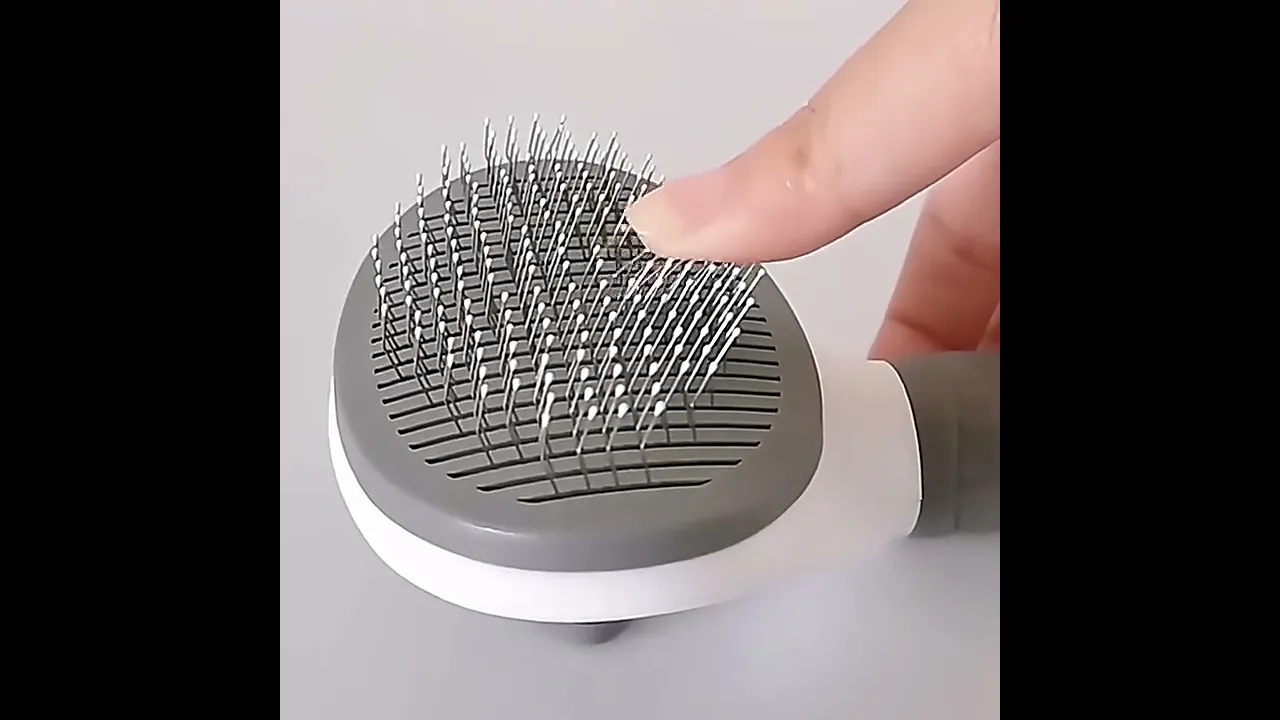 Vídeo de LIPAM