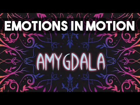 AMYGDALA - The Next Game from Kiesling and Kramer!