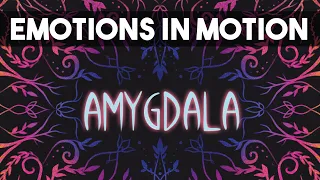 AMYGDALA - The Next Game from Kiesling and Kramer!