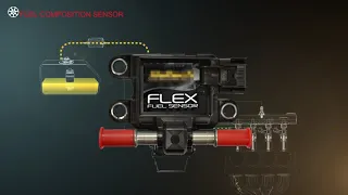 E85 and Flex Fuel Vehicles Training Module Trailer E85 and Flex Fuel Vehicles Training Module Trailer