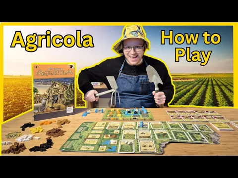 Agricola How to Play and Beginner Strategy Guide