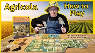 Agricola How to Play and Beginner Strategy Guide