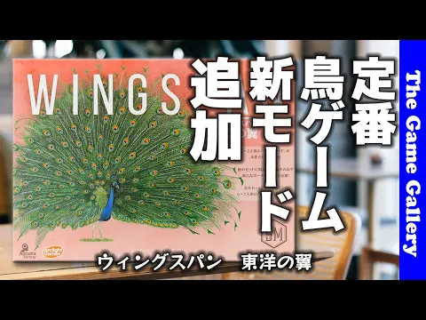 【ウィングスパン 東洋の翼】定番鳥ゲームに新機能追加？！ / TGG ボードゲーム