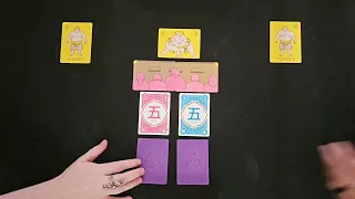 Sumo: How to play, & Review