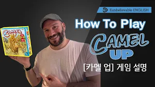 How to Play: Camel Up