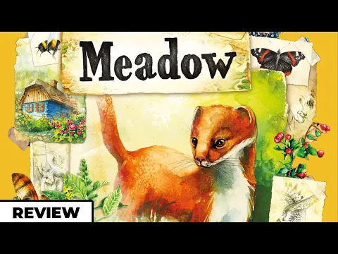 Meadow - A Beautiful Experience - Review