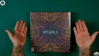 UNBOXING - AMYGDALA - Board Gmaes - #indabox