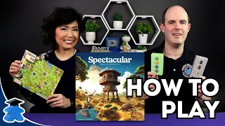 Spectacular - How to Play Board Game