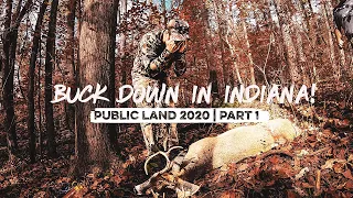 First BUCK DOWN on Indiana PUBLIC LAND!!! First BUCK DOWN on Indiana PUBLIC LAND!!!