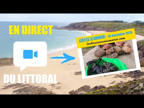 Vignette de la vidéo