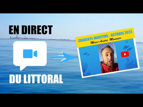 Vignette de la vidéo