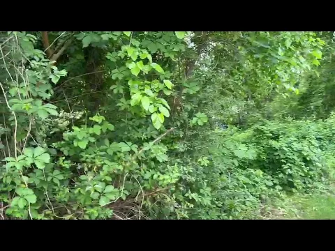 Youtube Preview