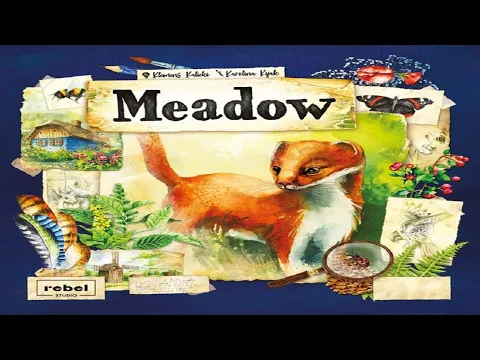 Meadow: Discussion