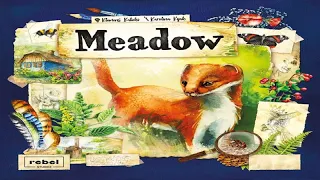 Meadow: Discussion