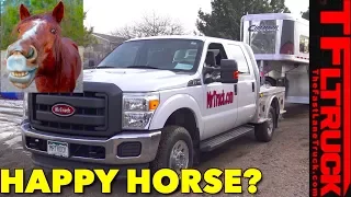 Can a Cushioned Gooseneck Hitch Make Your Horse Happy?