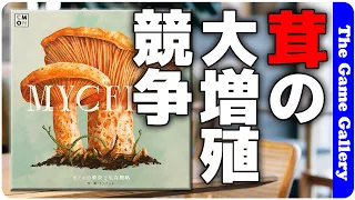 The Game Gallery Review - Mycelia