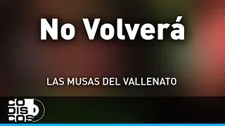 No Volverá, Las Musas Del Vallenato - Audio