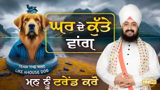 Train The Mind Like A House Dog Dhadrianwale