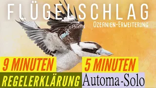 Flügelschlag Ozeanien Erweiterung - Regeln - Aufbau - Anleitung + Automa Solo