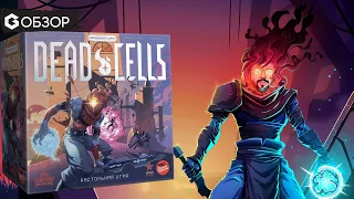 DEAD CELLS - ОБЗОР настольной игры | Geek Media