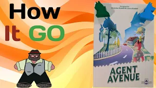 I Review, You Choose - Agent Avenue Review