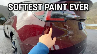 Everything I Did Immediately After After Picking Up Our New 2025 Model Y