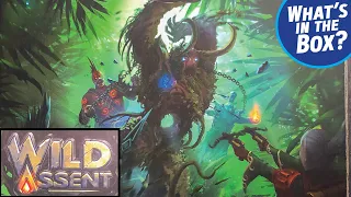 WILD ASSENT Core Box Unboxing