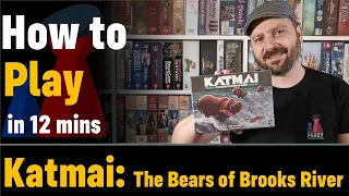 How to play Katmai : The bears of Brook River + Visuals - Peaky Boardgamer