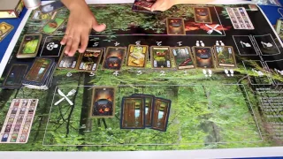 Na Mira: Fungi