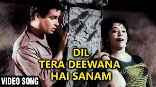 Dil Tera Deewana Hai Sanam | Shammi Kapoor | Mala Sinha | Mohammad Rafi | Lata Mangeshkar Hit Songs