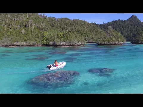 2023 Highfield Cl260 Thumbnail alt