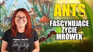 ANTS - poznaj życie mrówek! || wady i zalety dość ciężkiego euro || Cranio Creations